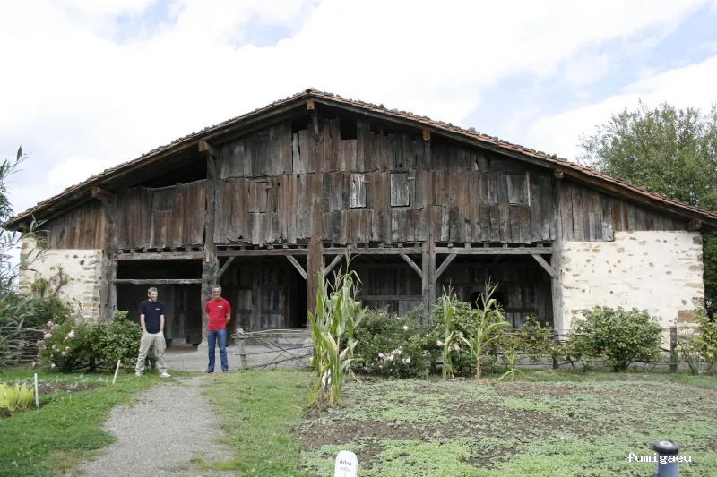 Control de Plagas - Técnica Sanitaria