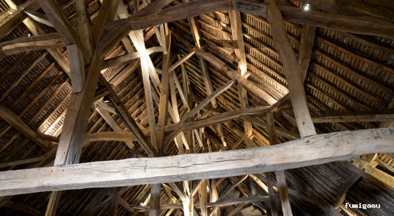 Control de Plagas - Técnica Sanitaria