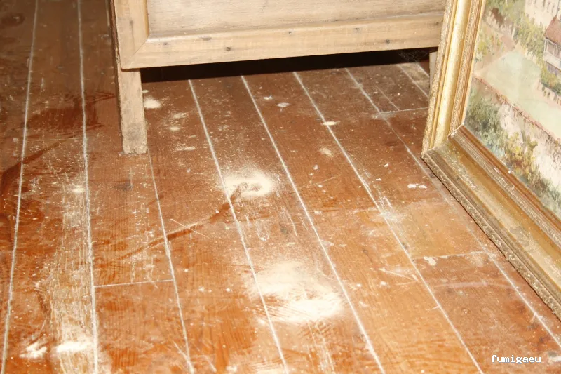 Control de Plagas - Técnica Sanitaria