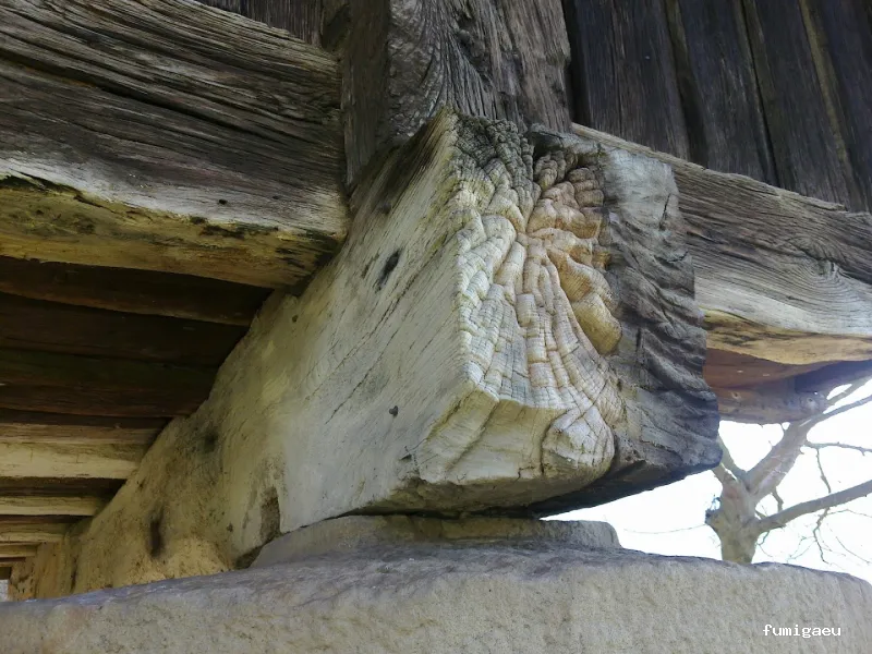 Control de Plagas - Técnica Sanitaria