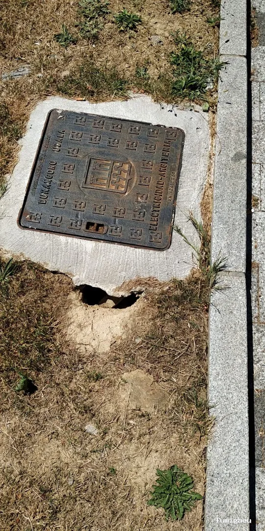 Control de Plagas - Técnica Sanitaria