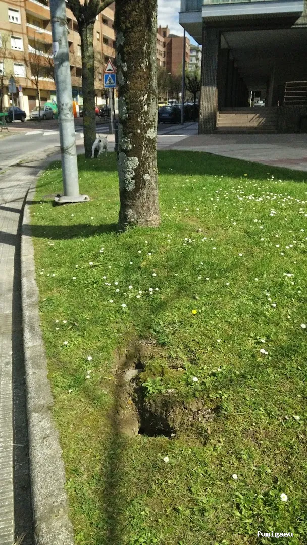 Control de Plagas - Técnica Sanitaria