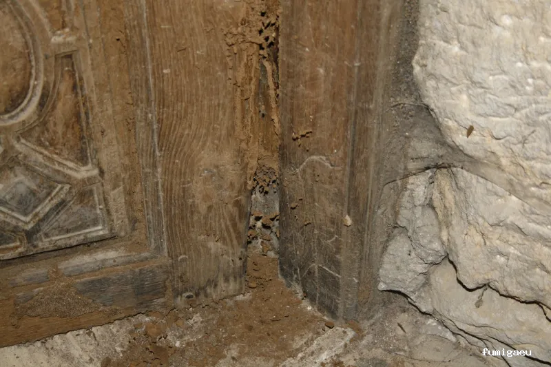 Control de Plagas - Técnica Sanitaria