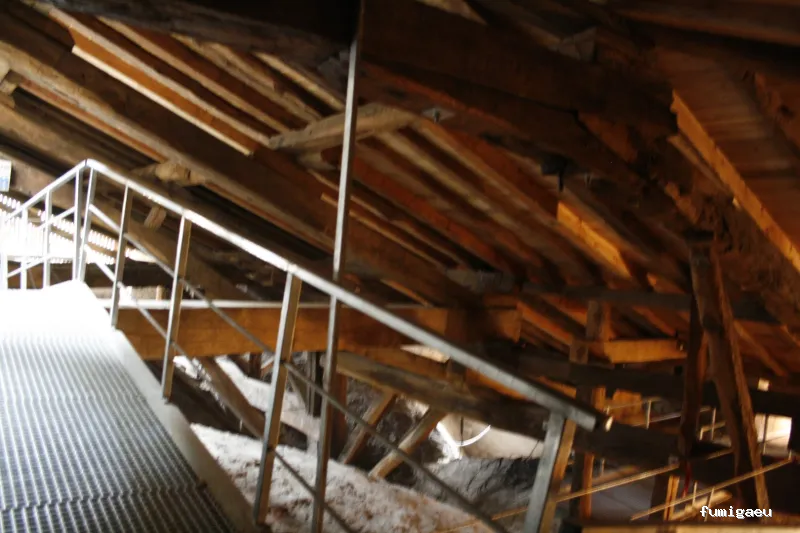 Control de Plagas - Técnica Sanitaria