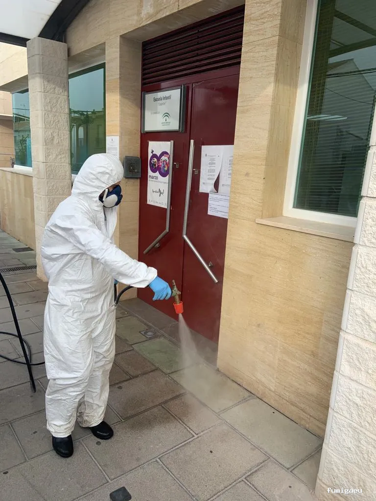 Hisan - Control de Plagas | Eliminar Termitas y Legionella