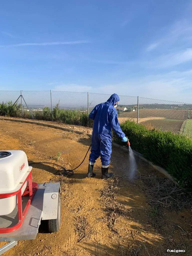 Hisan - Control de Plagas | Eliminar Termitas y Legionella