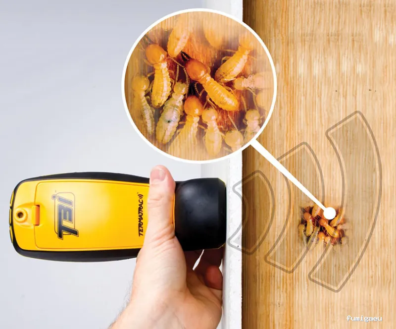 Hisan - Control de Plagas | Eliminar Termitas y Legionella