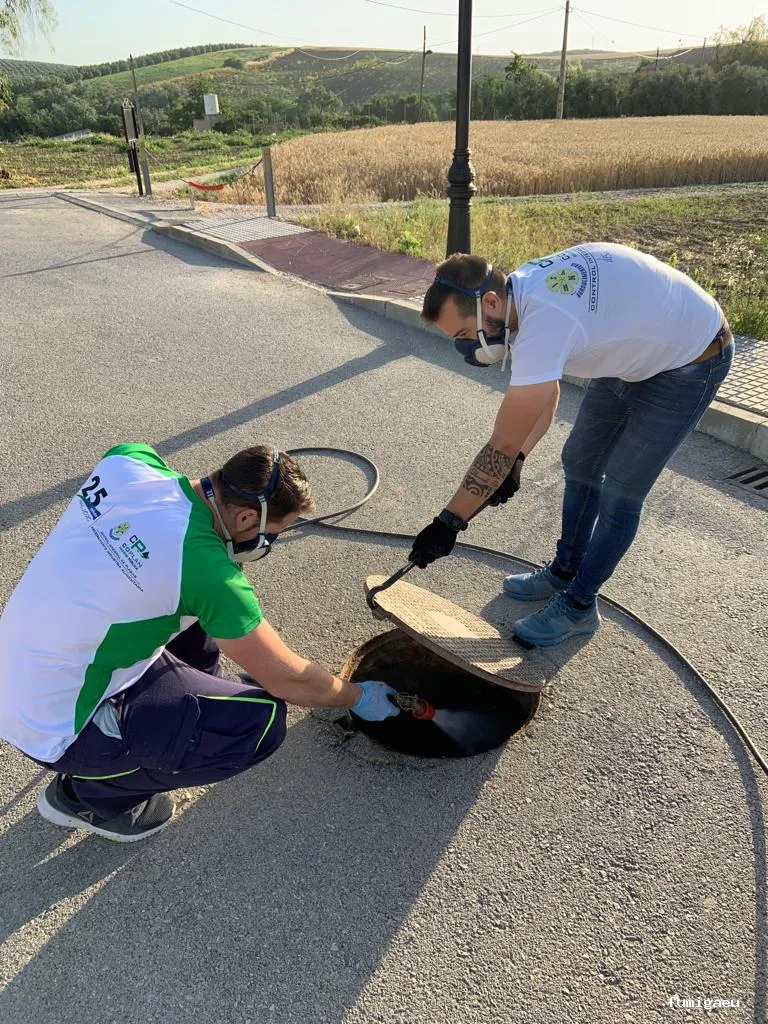 Hisan - Control de Plagas | Eliminar Termitas y Legionella