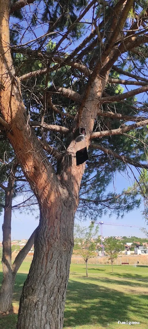 J.A.M.G. Control De Plagas