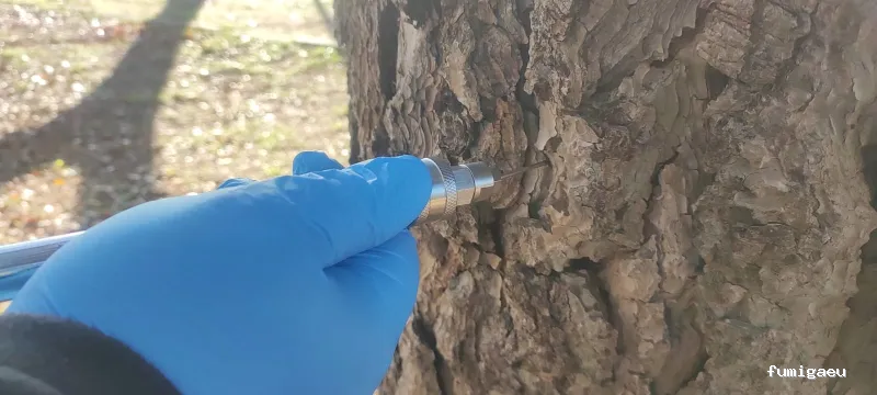 J.A.M.G. Control De Plagas