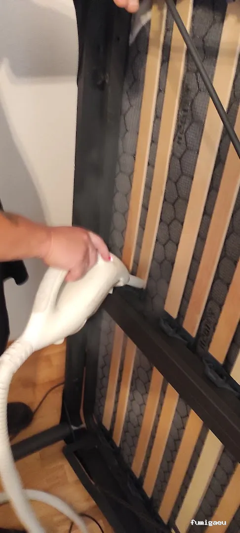 J.A.M.G. Control De Plagas