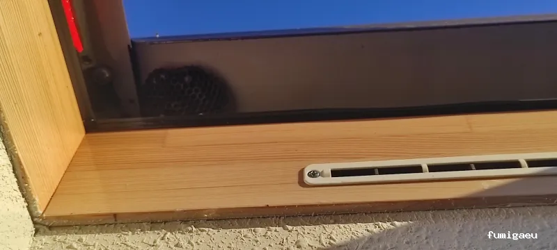 J.A.M.G. Control De Plagas