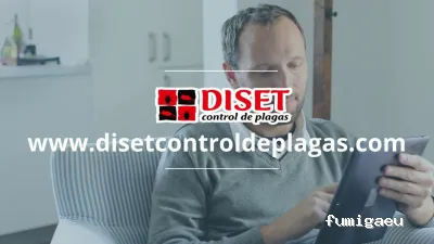 Diset Control Plagas Sabadell