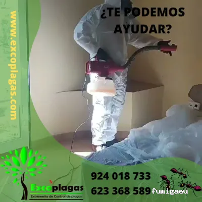 EXCOPLAGAS. Control de plagas. Fumigación. Control de legionella.