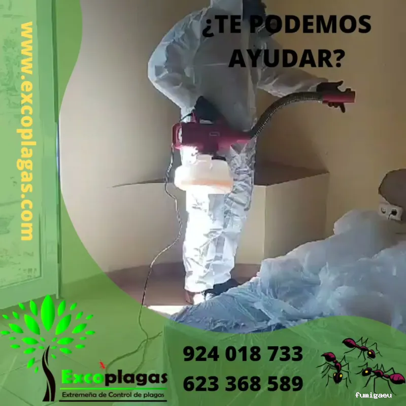 EXCOPLAGAS. Control de plagas. Fumigación. Control de legionella.