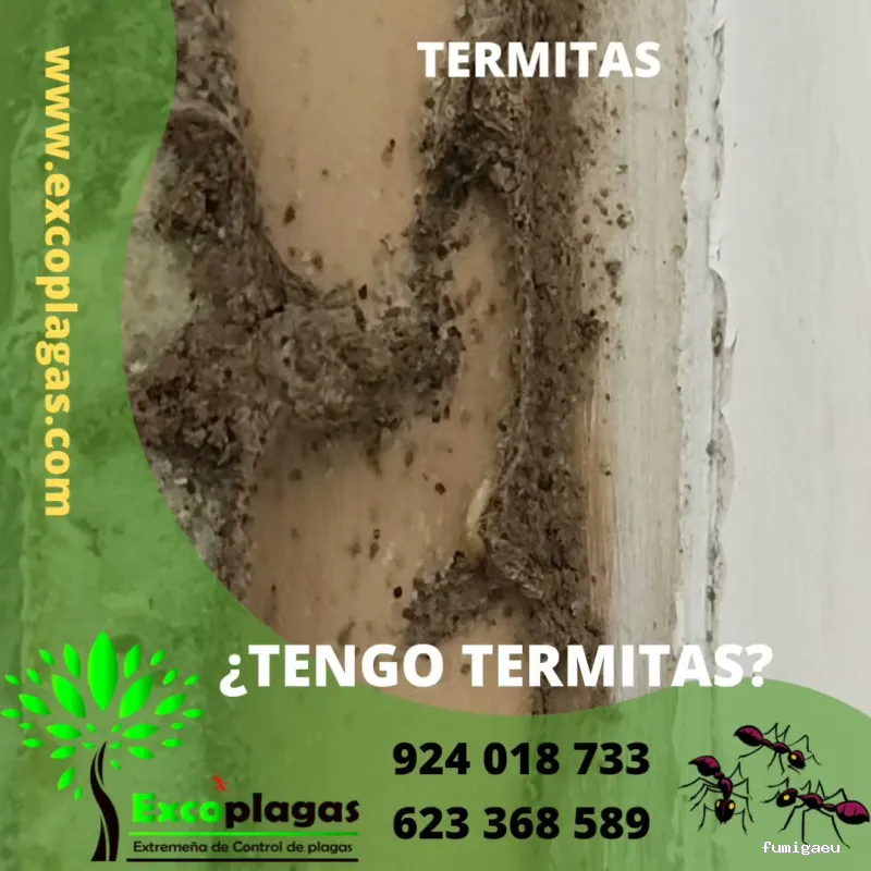 EXCOPLAGAS. Control de plagas. Fumigación. Control de legionella.