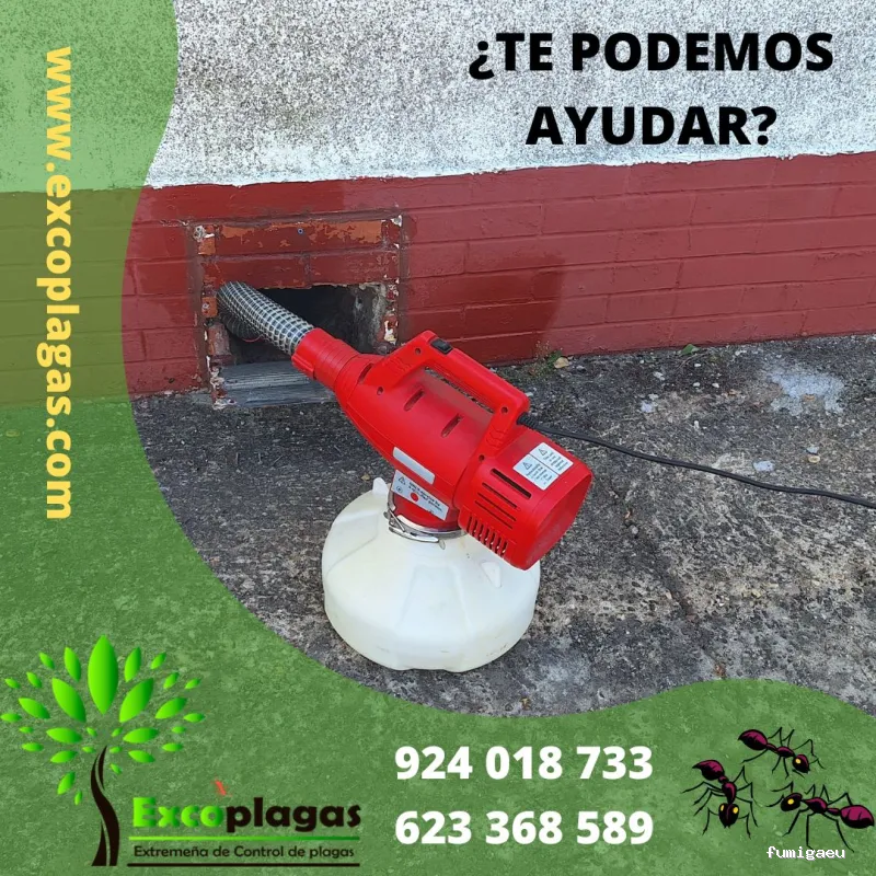 EXCOPLAGAS. Control de plagas. Fumigación. Control de legionella.