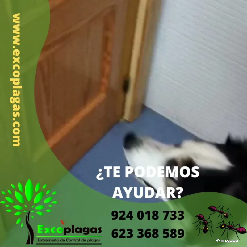 EXCOPLAGAS. Control de plagas. Fumigación. Control de legionella.