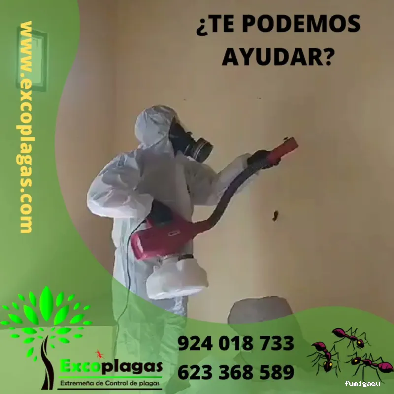 EXCOPLAGAS. Control de plagas. Fumigación. Control de legionella.