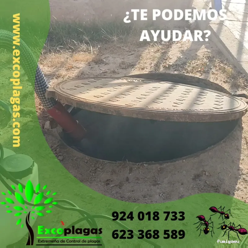 EXCOPLAGAS. Control de plagas. Fumigación. Control de legionella.