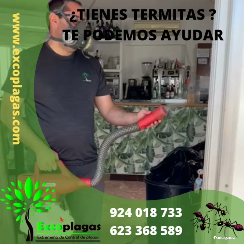 EXCOPLAGAS. Control de plagas. Fumigación. Control de legionella.