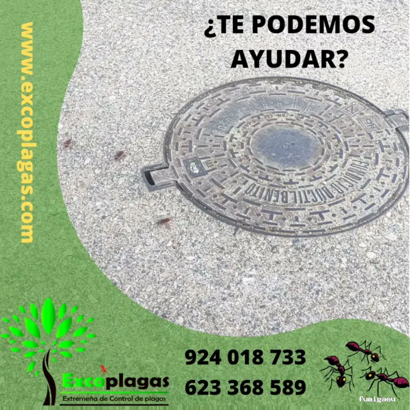 EXCOPLAGAS. Control de plagas. Fumigación. Control de legionella.