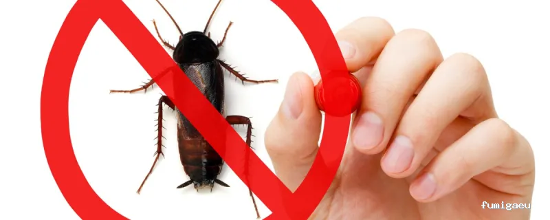 Sanex. Tratamientos Higienico Sanitarios S.L. y Control de plagas