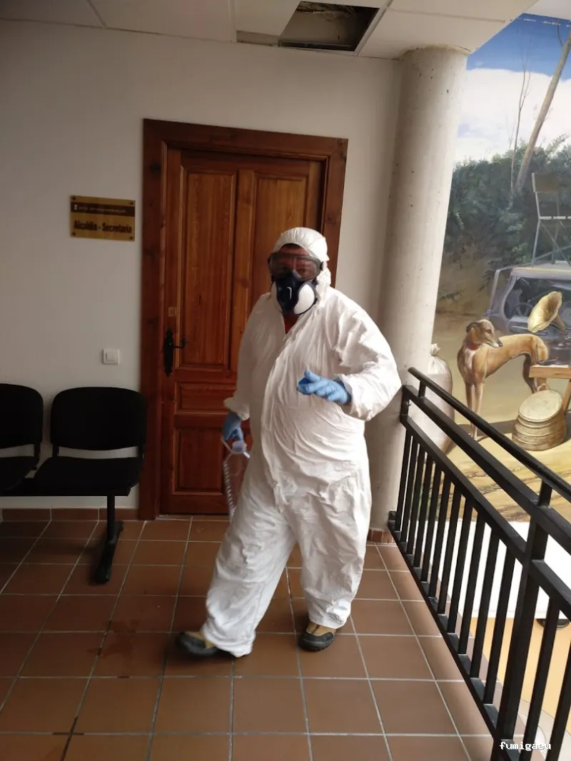 PLAN D PLUS, VALDEMORO DESINFECCIÓN VIVIENDAS Y NEGOCIOS, CONTROL DE PLAGAS