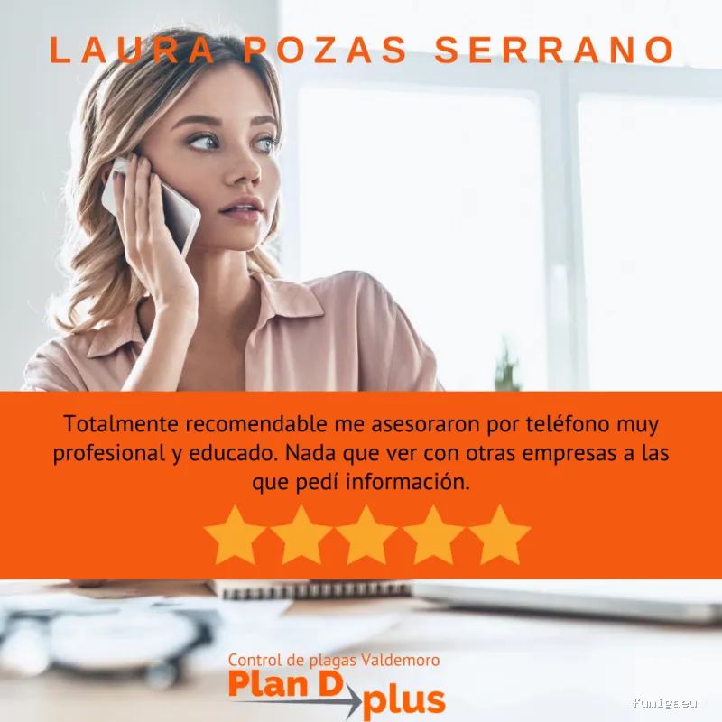 PLAN D PLUS, VALDEMORO DESINFECCIÓN VIVIENDAS Y NEGOCIOS, CONTROL DE PLAGAS