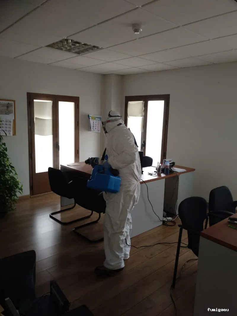 PLAN D PLUS, VALDEMORO DESINFECCIÓN VIVIENDAS Y NEGOCIOS, CONTROL DE PLAGAS