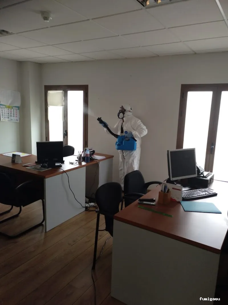 PLAN D PLUS, VALDEMORO DESINFECCIÓN VIVIENDAS Y NEGOCIOS, CONTROL DE PLAGAS