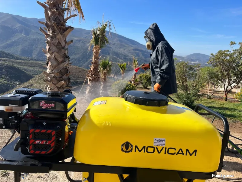 Control de Plagas Zerepmo