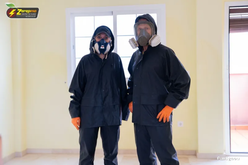 Control de Plagas Zerepmo