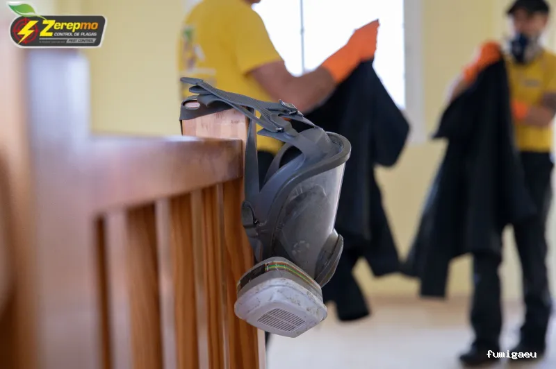 Control de Plagas Zerepmo