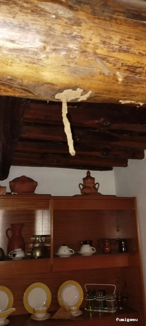 LAJARA Control de Plagas