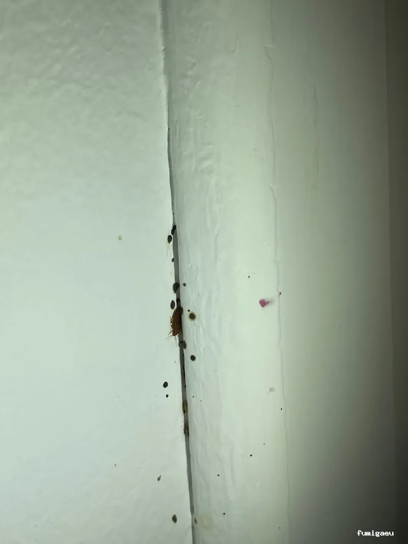 TNGS - Control de Plagas