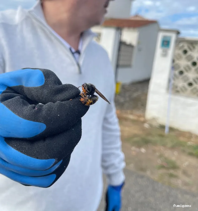 TNGS - Control de Plagas