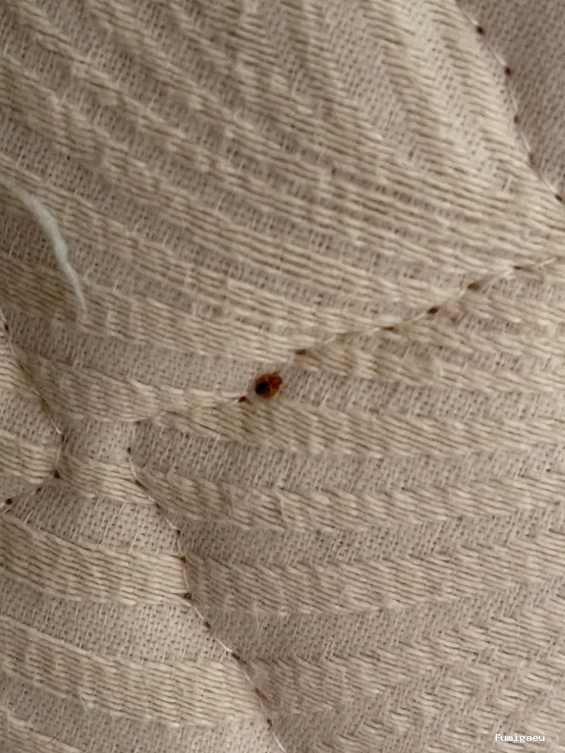 TNGS - Control de Plagas