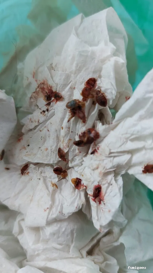 TNGS - Control de Plagas