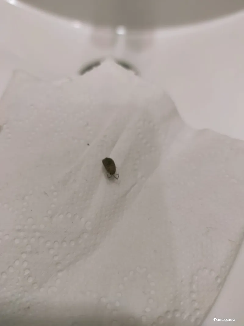 TNGS - Control de Plagas