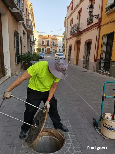 Nomasbixos Control de plagas