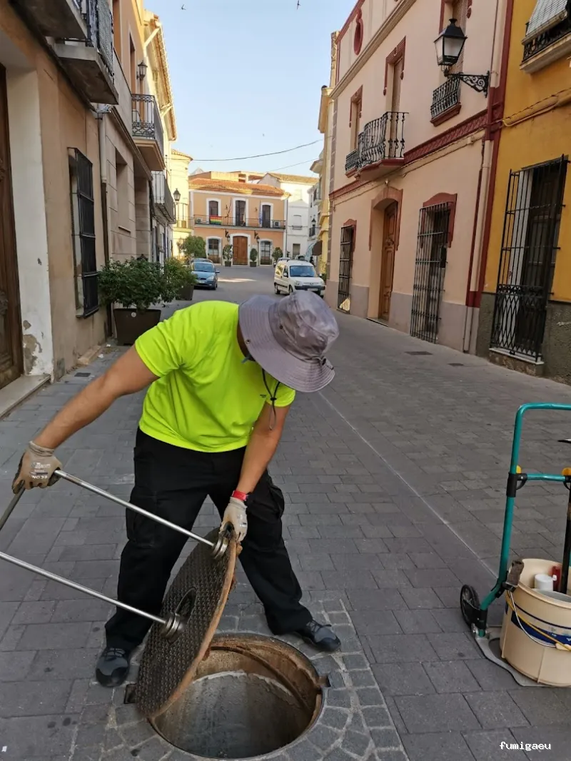 Nomasbixos Control de plagas