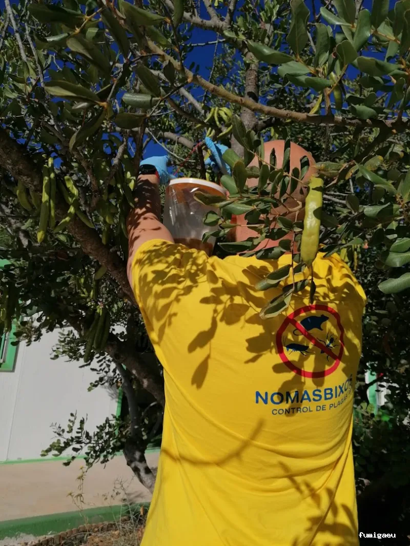 Nomasbixos Control de plagas
