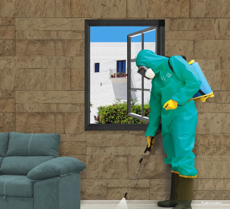 Posidonia Sanidad Ambiental Ibiza y Formentera