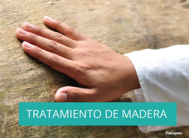 Posidonia Sanidad Ambiental Ibiza y Formentera