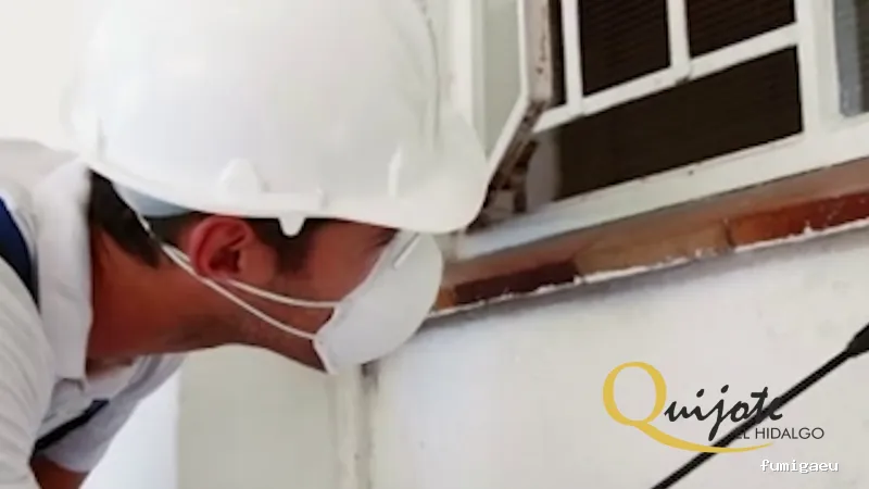 Quijote El Hidalgo SL