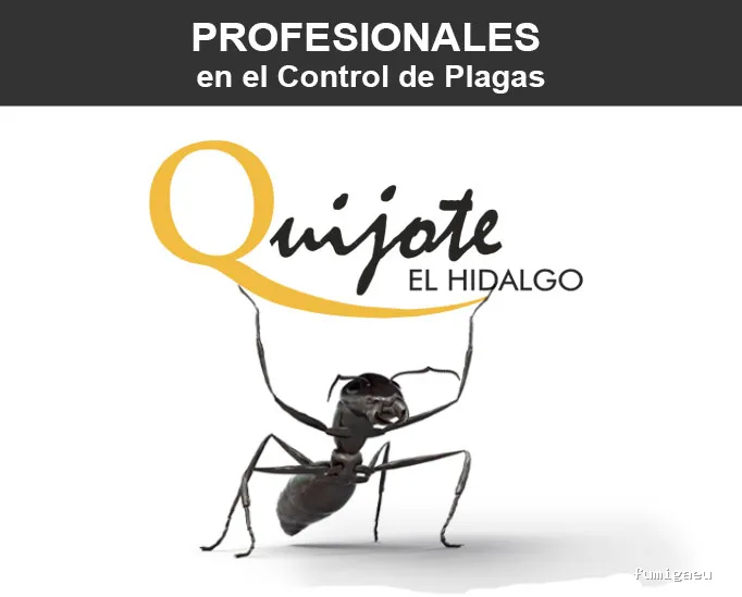 Quijote El Hidalgo SL