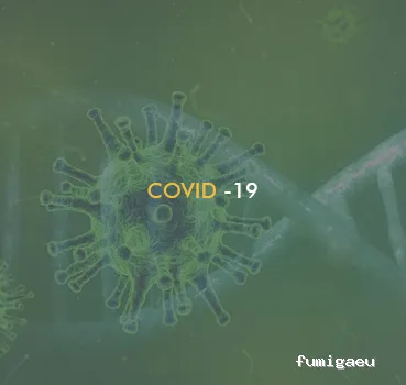 Quijote El Hidalgo SL