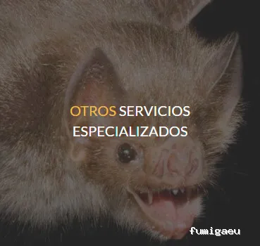 Quijote El Hidalgo SL