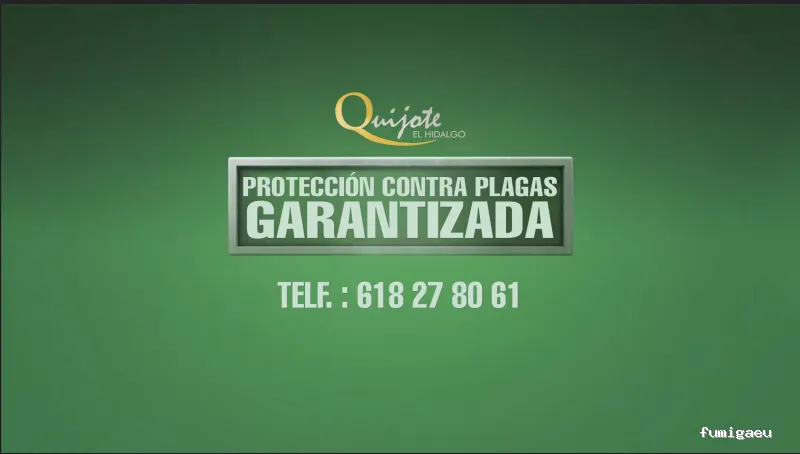 Quijote El Hidalgo SL